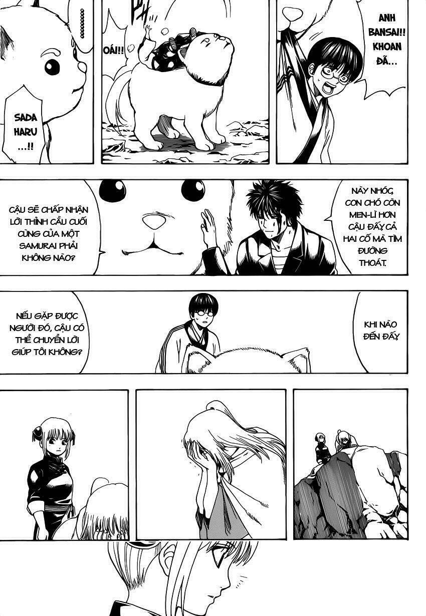 gintama - linh hồn bạc chapter 572 12