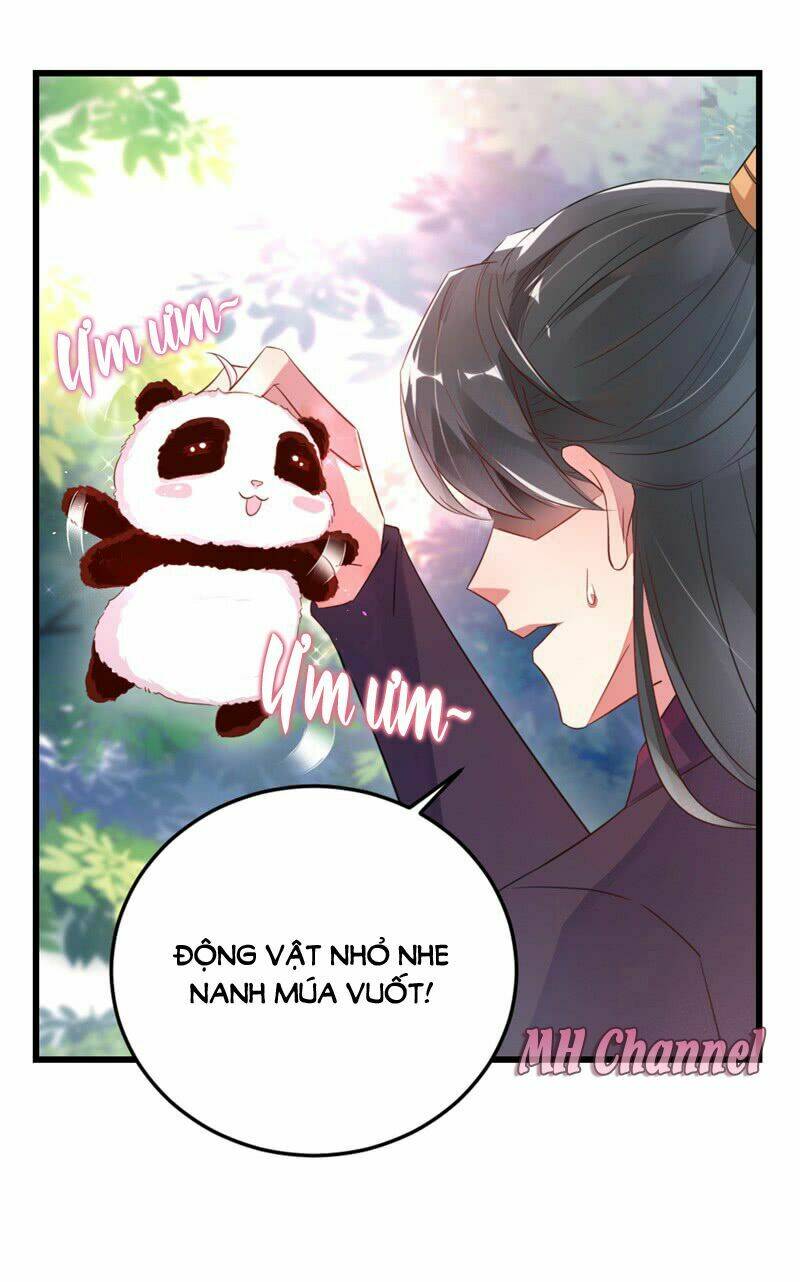 thiên thần gấu trúc muốn được ôm chapter 5 23