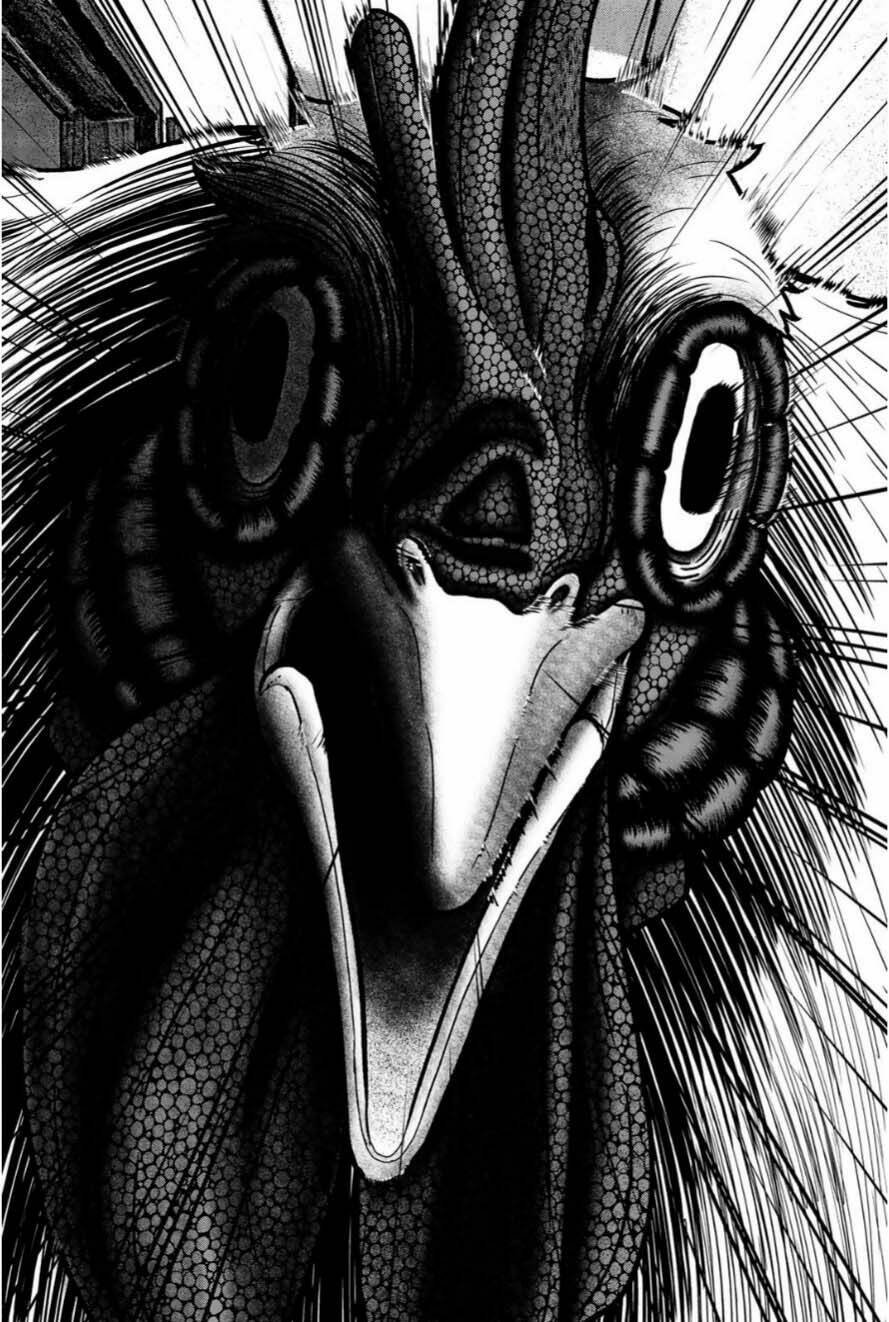 tiếng gáy sát thủ chapter 12 18