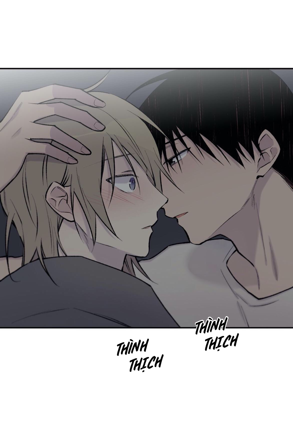 đừng viết nữa, tác giả thân mến! chapter 50 61