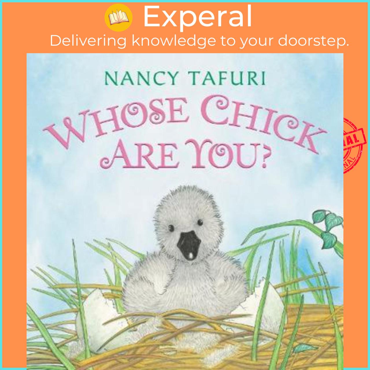 Sách - Whose Chick Are You? by Nancy Tafuri