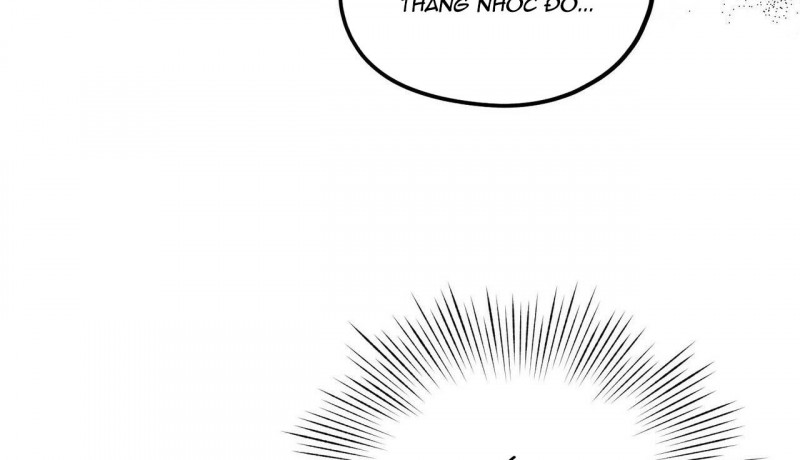 chàng dâu nhà họ kang chapter 12 137