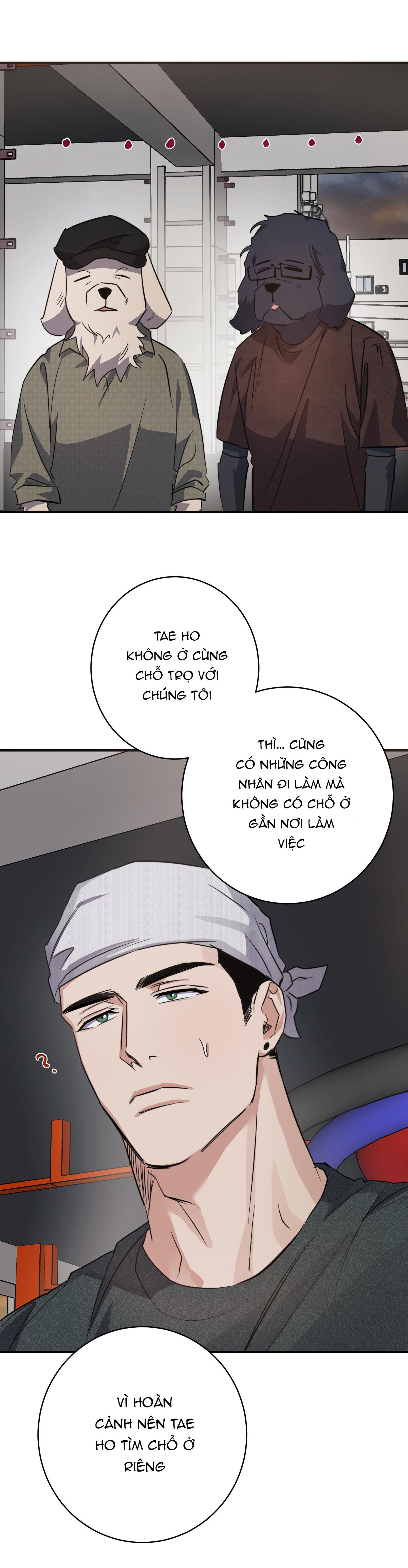 bộ sưu tập ciu to-ngực bự của nhà sẹc chapter 17 28