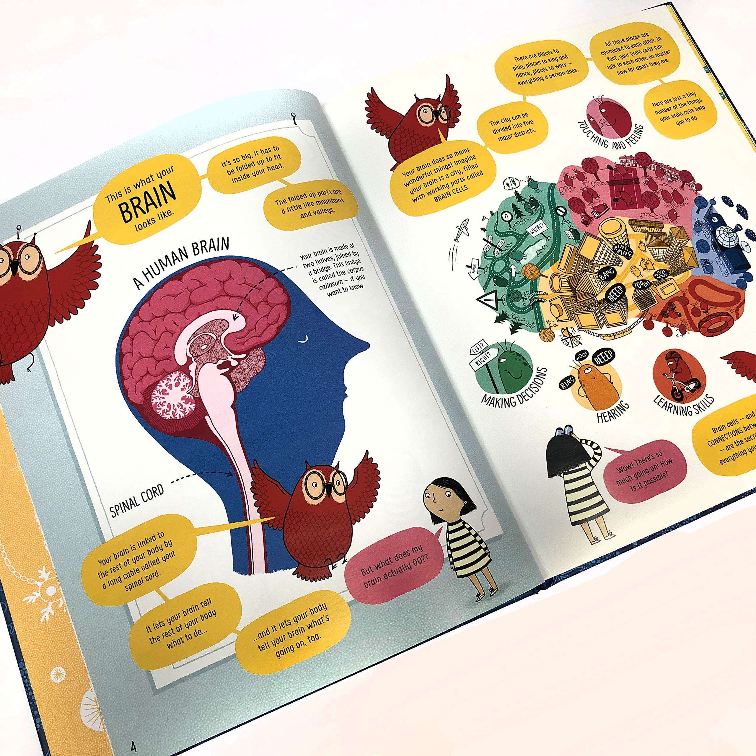 Sách - Anh: Usborne Book Of The Brain And How It Works