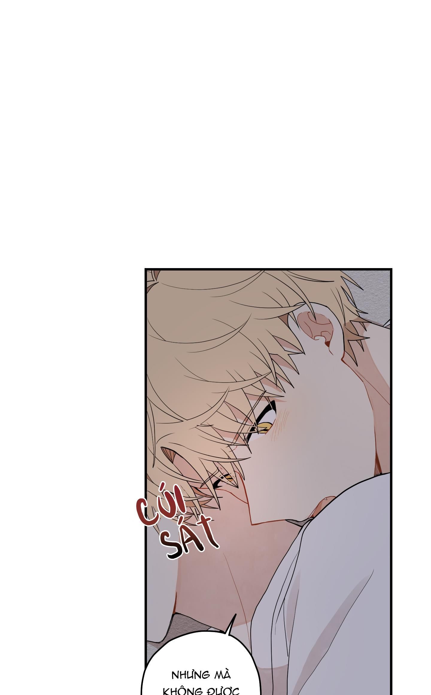 đường hoa liên kiều rơi chapter 12 58