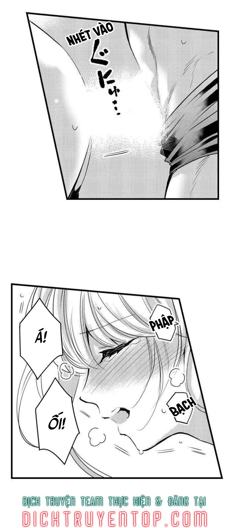 trêu ghẹo "gấu" nhà tôi! chapter 49 11