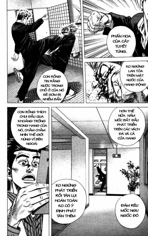 rookies chapter 13 17