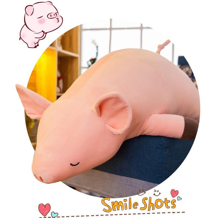 GẤU BÔNG HEO LƯỜI NẰM NGỦ