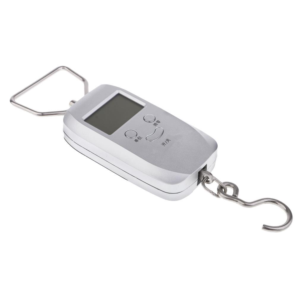 Digital Scale Fishing Luggage Travel Weighting Hanging Electronic Hook Scale, , Automatic Lock Data