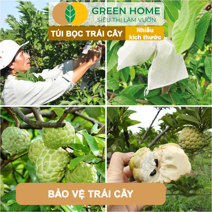 Túi Bọc Hoa Quả GreenHome, Ổi Bưởi Xoài Na Mướp (Có Nút Cài), Sử Dụng 3-5 Năm, Nhiều Kích Thước