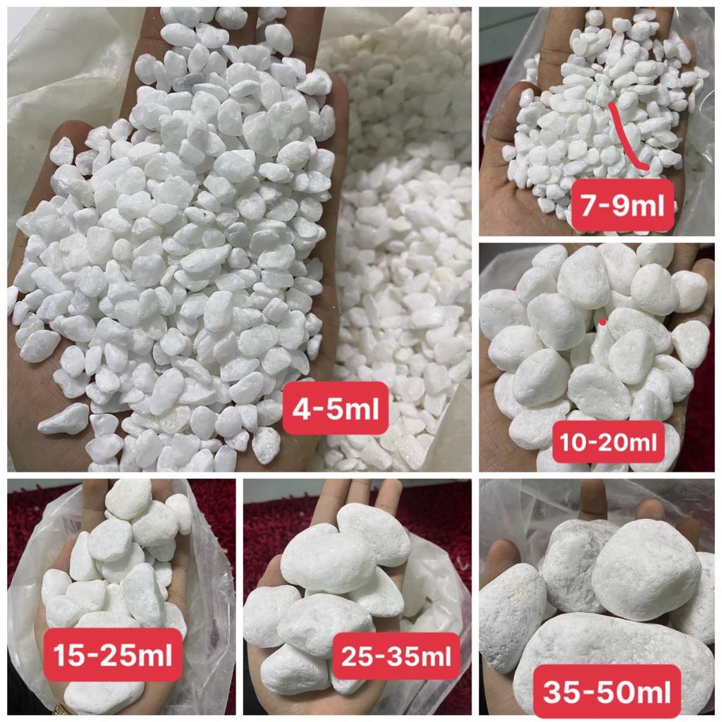 Sỏi trắng trang trí hồ cá-sân vườn túi 10kg