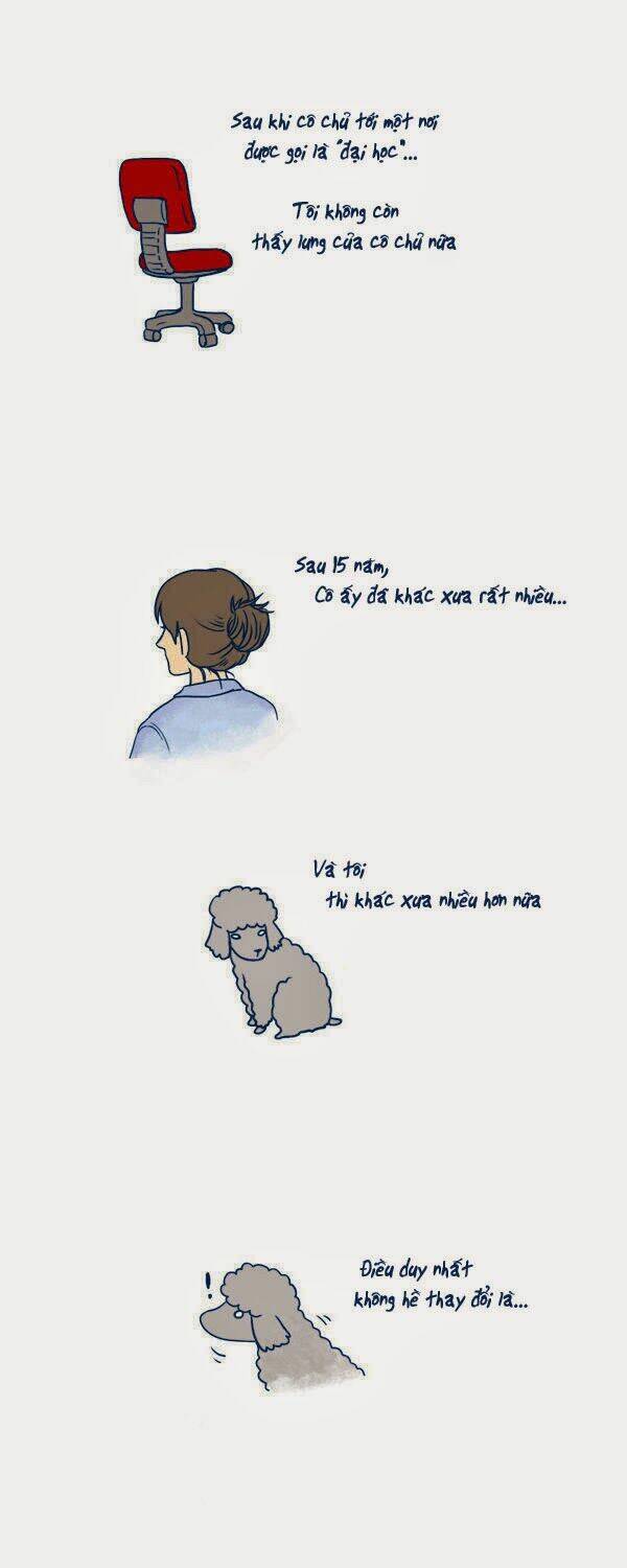 mèo con và chú chó già của tôi chapter 2 3