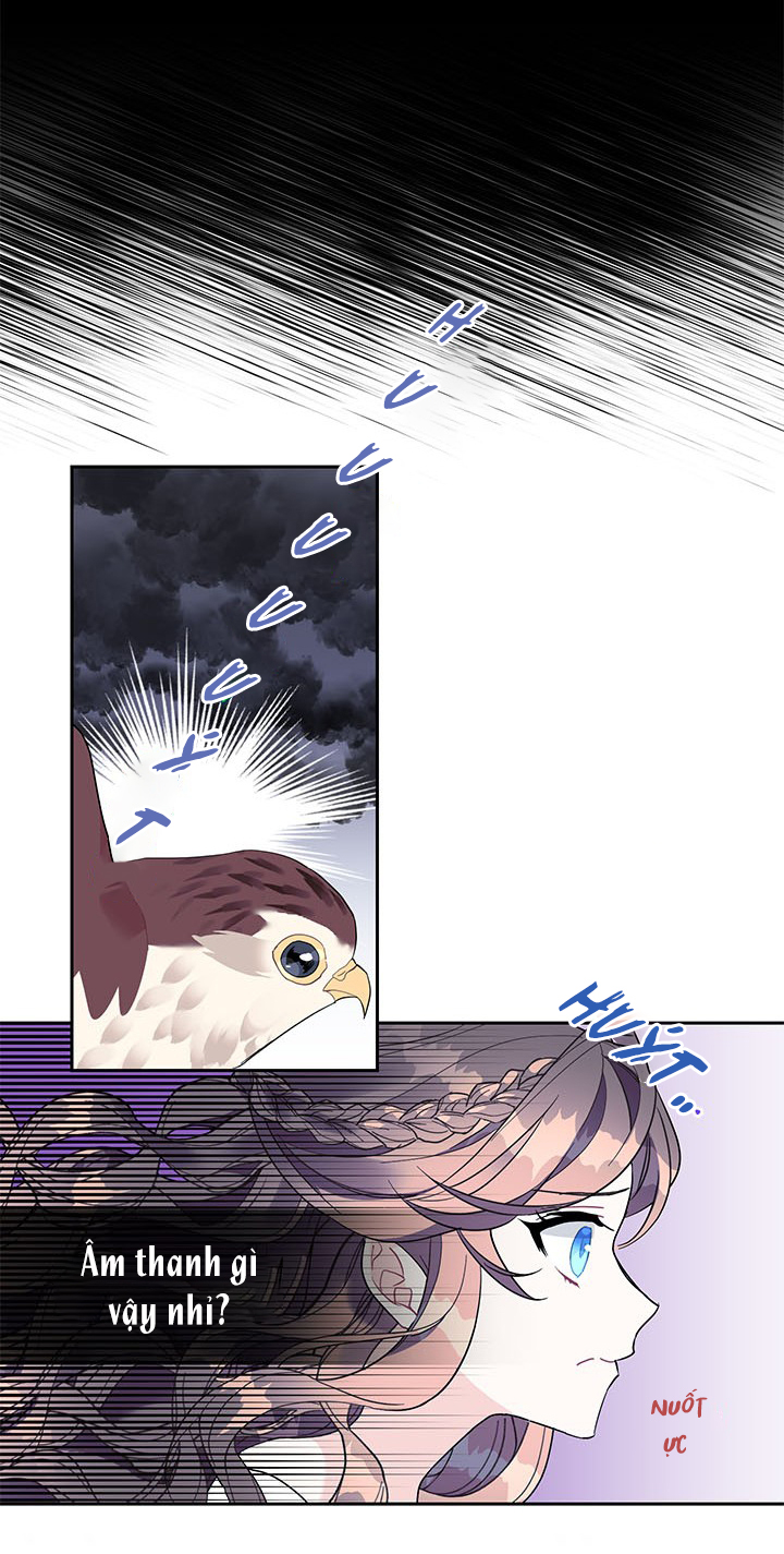 công chúa của loài chim chapter 11 34