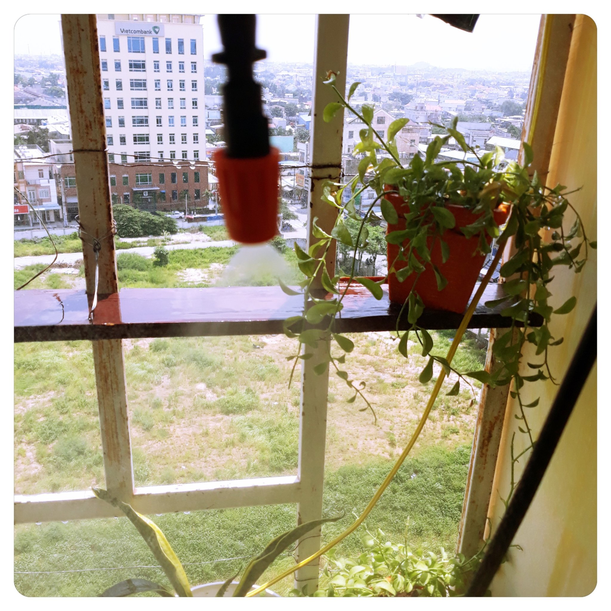 Combo 10 béc phun sương tưới cây 1 hướng