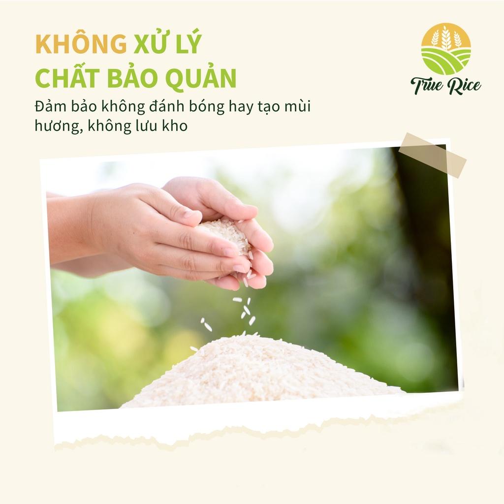 10kg Gạo tươi ST25 True Rice