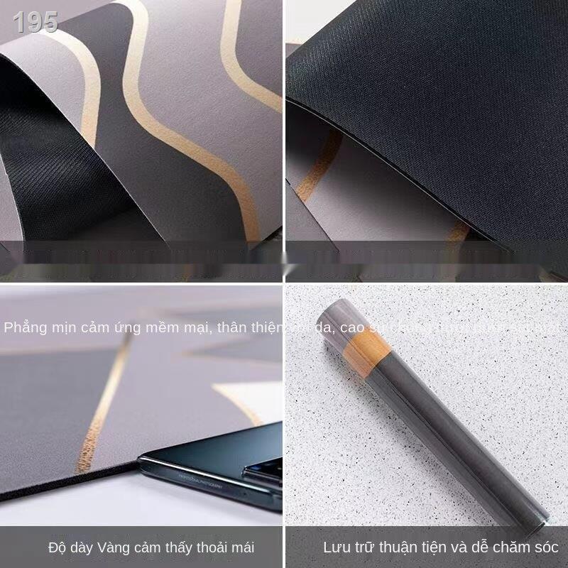 Diatom bùn nhà vệ sinh thấm thảm sàn cửa tắm khô nhanh chống trượt đất diatomaceous