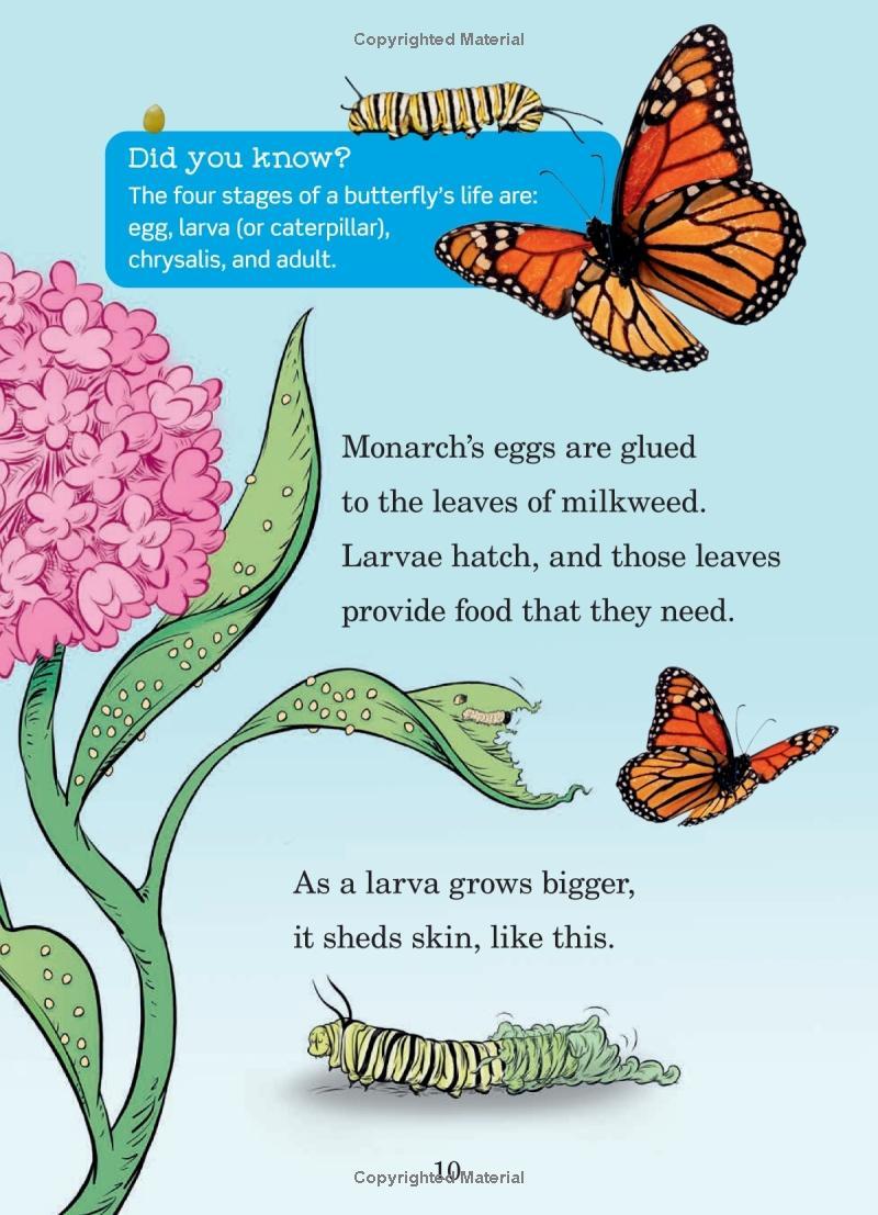 Hug A Bug: How YOU Can Help Protect Insects (Dr. Seuss's The Lorax Books)