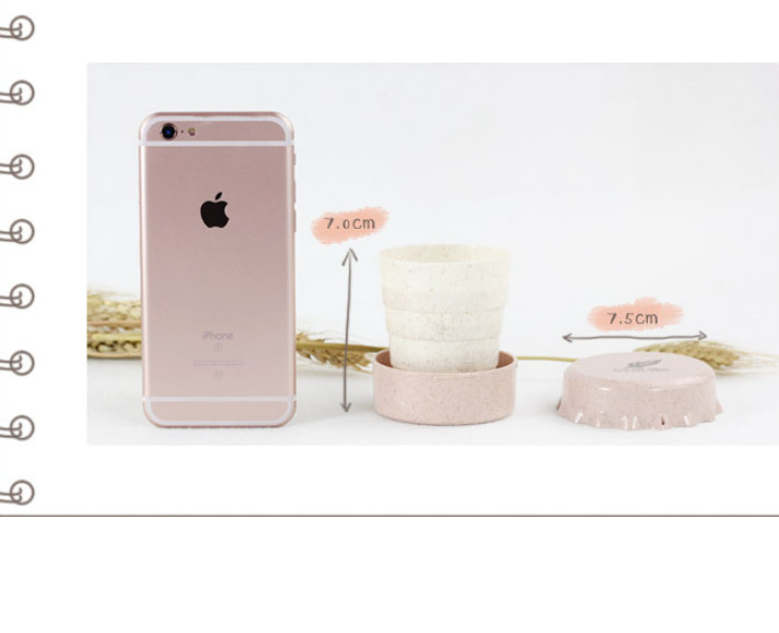 Ly du lịch gấp gọn lúa mạch