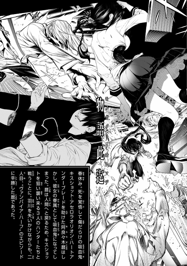 化物語 12 - Bakemonogatari Vol.12
