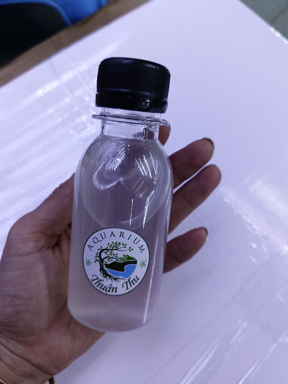 Chiết lẻ 100ml Vi sinh cao cấp Seachem Pristine special phân hủy phân cá và chất hữu cơ giúp xử lý nước tốt cho bể thủy sinh và cá biển