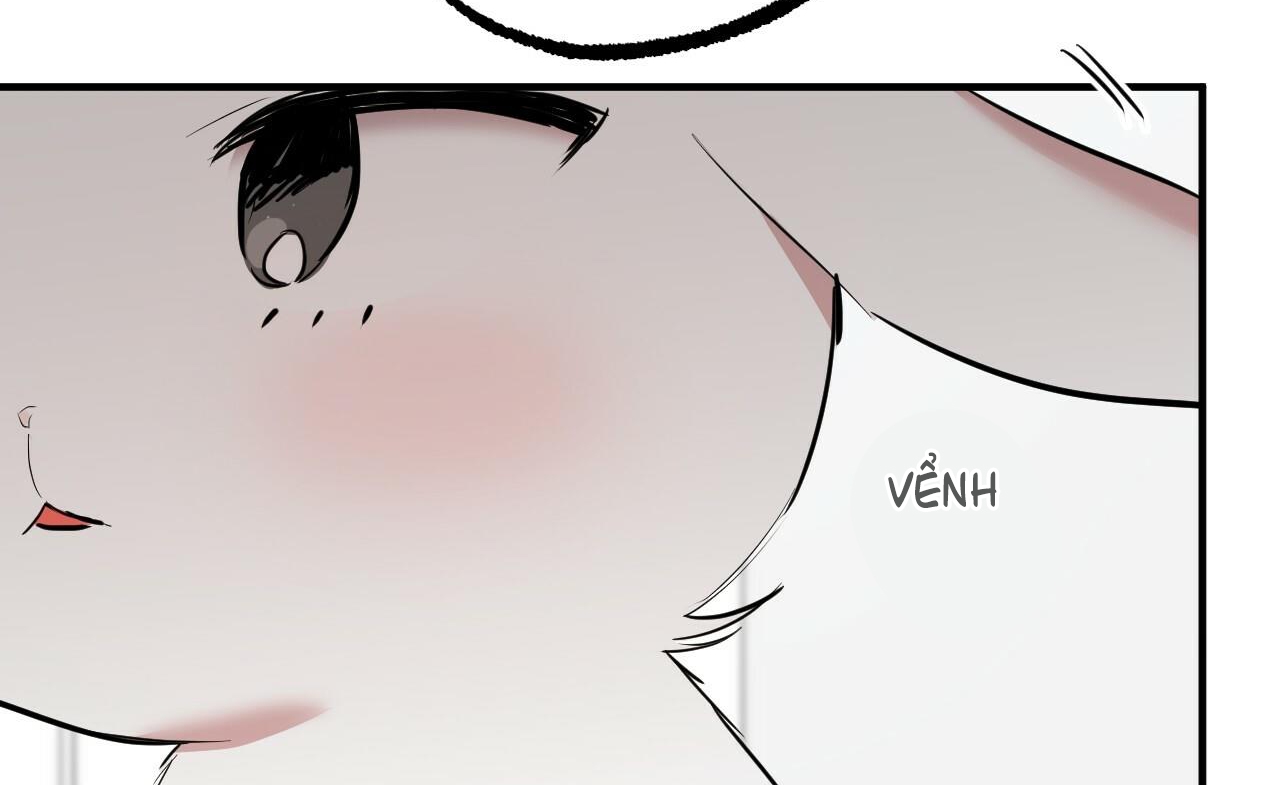 đàn thỏ của habibi chapter 36 19