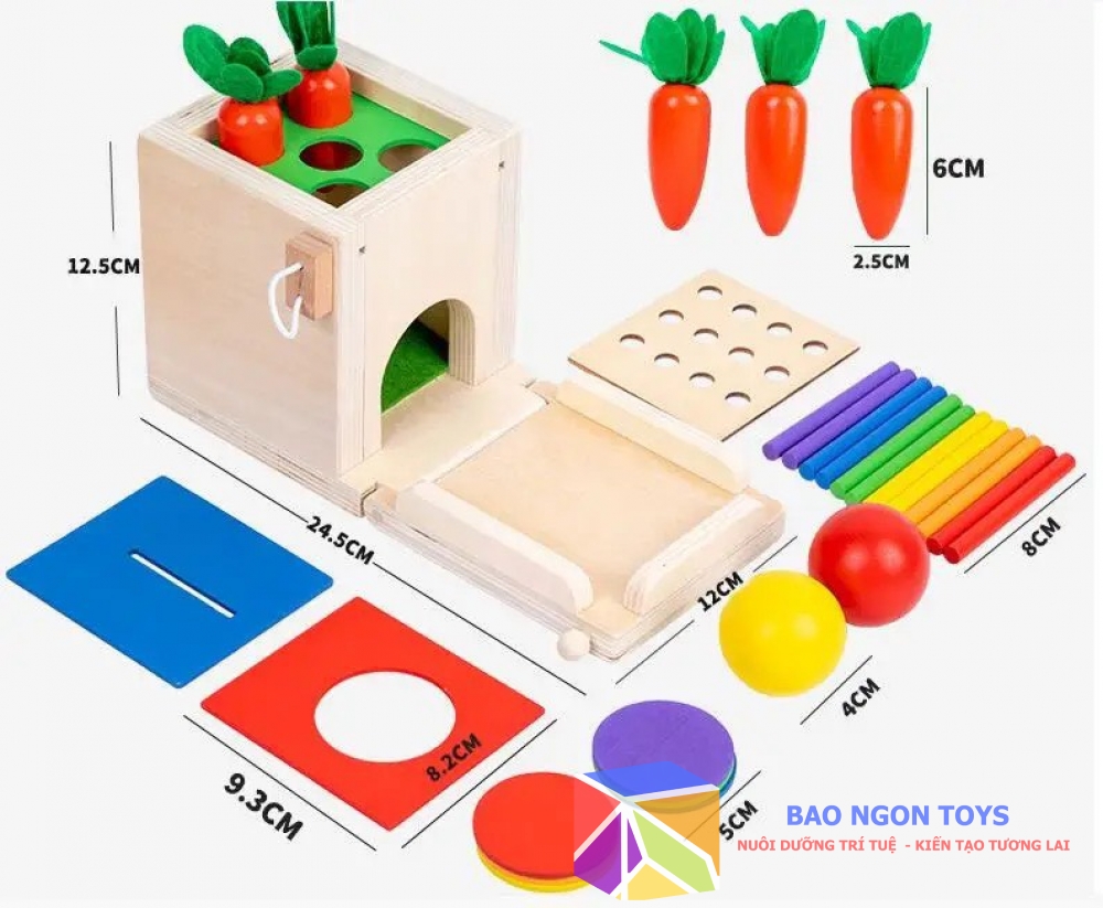 Hộp thả bóng montessori đa chức năng giúp bé phát triển vận động tinh đồ chơi câu sâu, trồng cà rốt BAO NGON TOYS DG178