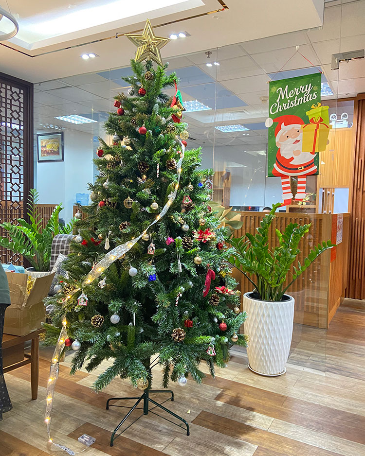 Cây thông noel 3 loại lá gắn trái thông - Cây thông đẹp Tán dày đều, cây thông chắc chắn và dể tháo lắp