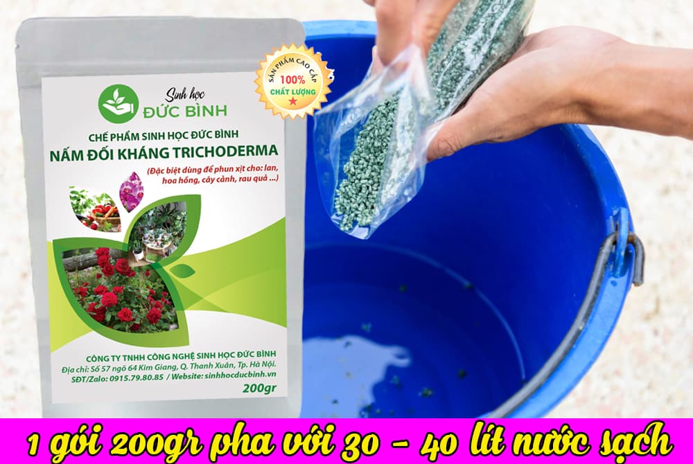 Chế Phẩm Men Vi Sinh Nấm Đối Kháng Trichoderma Đức Bình - Dùng Tưới Hoặc Phun Xịt Cho Hoa Hồng, Hoa Lan, Cây Cảnh