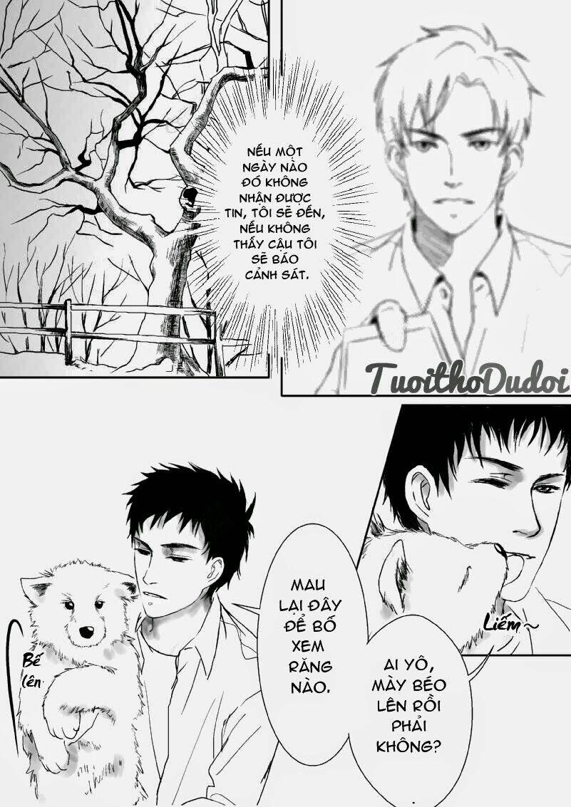 sự mê hoặc của sói chapter 6 3