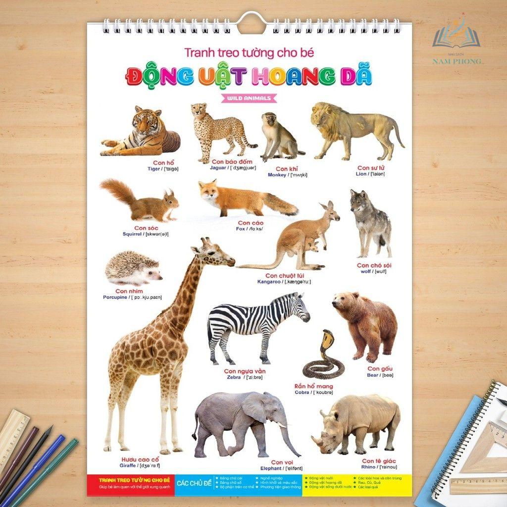 Bộ Tranh Học Treo Tường Song Ngữ Anh Việt 14 Chủ Đề - Cho Bé 0 6 Tuổi - Quét Mã QR