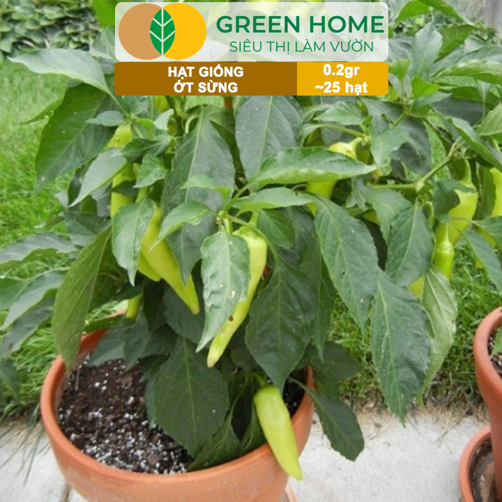 Hạt Giống Ớt Sừng Greenhome, Gói 0,2g~25 hạt, Dễ Trồng Quanh Năm,Thu Hoạch Nhanh, Năng Suất Cao G15