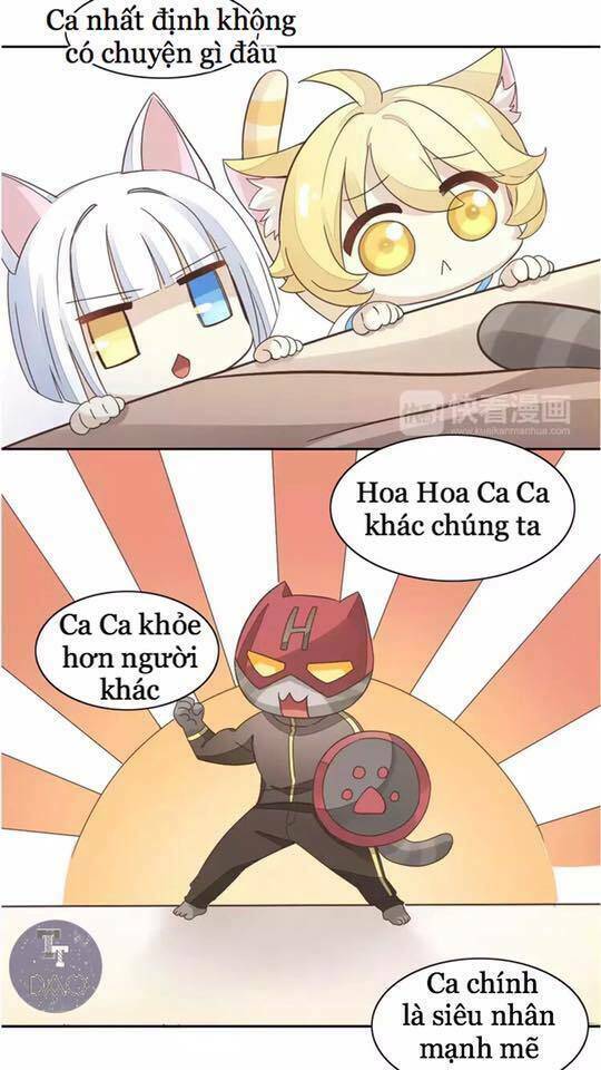 dưới móng vuốt mèo chapter 19 18