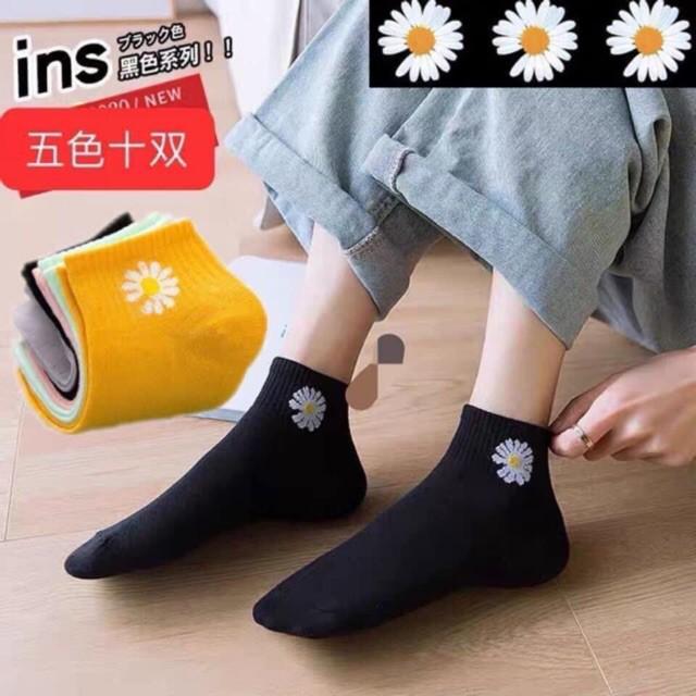 TẤT HOA CÚC- SET 10 ĐÔI