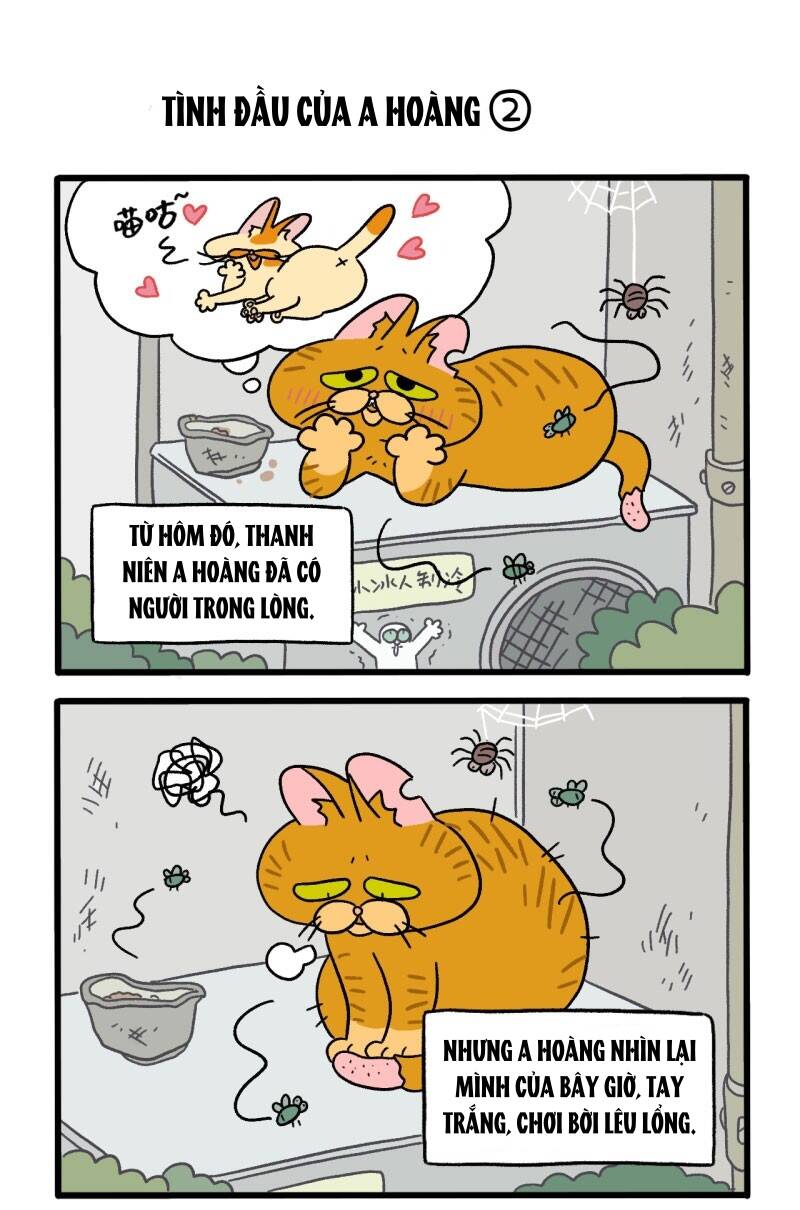 a mãn và mạch trà chapter 18 3