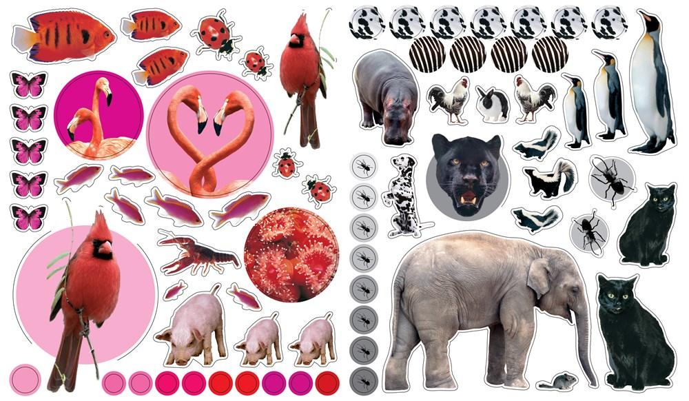 Sách - Eyelike Stickers: Animals : Animals by Workman Publishing (US edition, paperback)