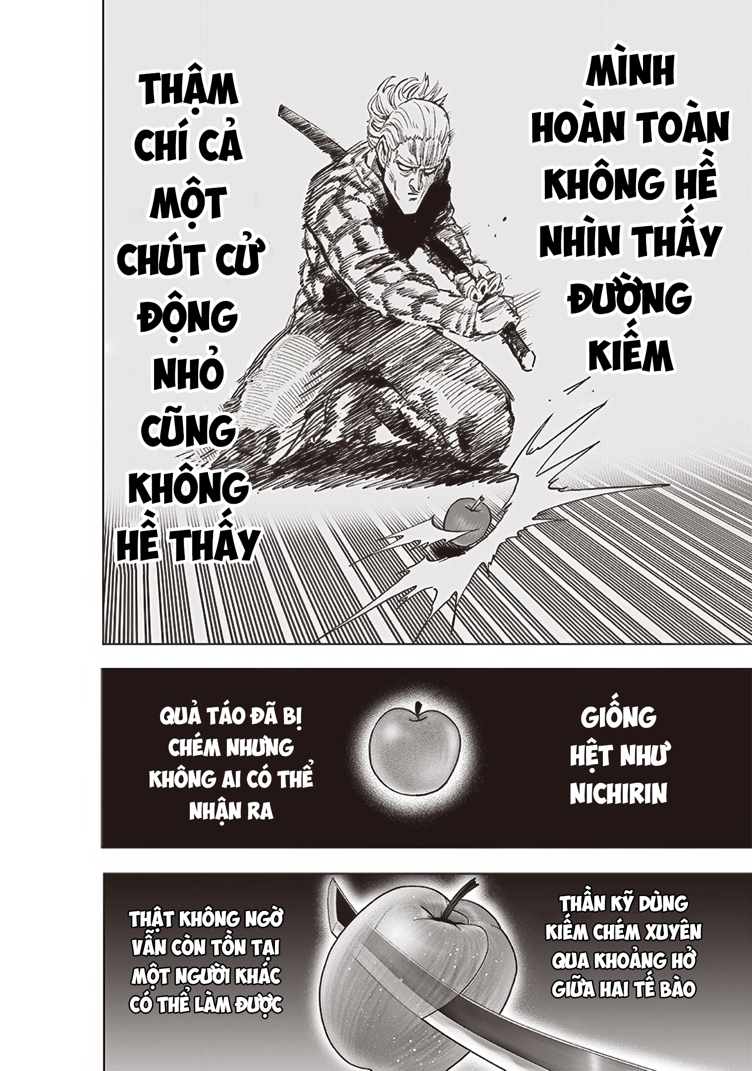 One-Punch Man Chapter 236 - Trang 25