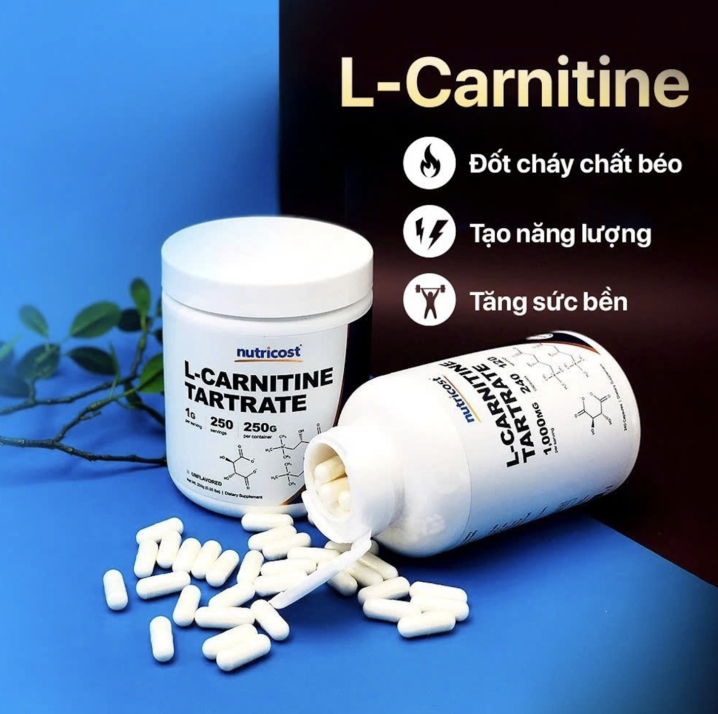 Viên Uống Giảm Mỡ Nutricost L-Carnitine Tartrate (1000mg), Hỗ Trợ Đốt Mỡ, Bổ Sung Năng Lượng