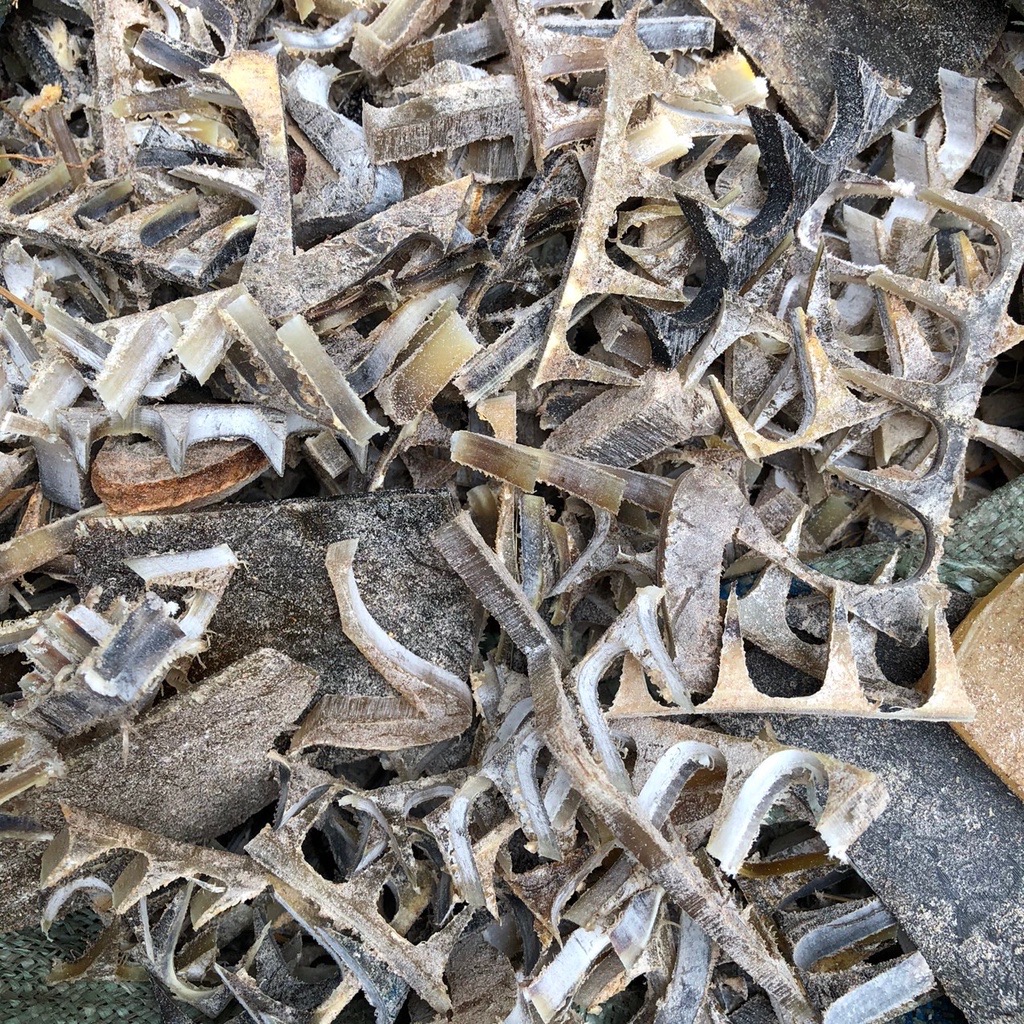 Nẹp sừng trâu bón cây cảnh, ăn quả, rau sạch (OTH036) Giúp cây trồng tươi tốt, lớn nhanh