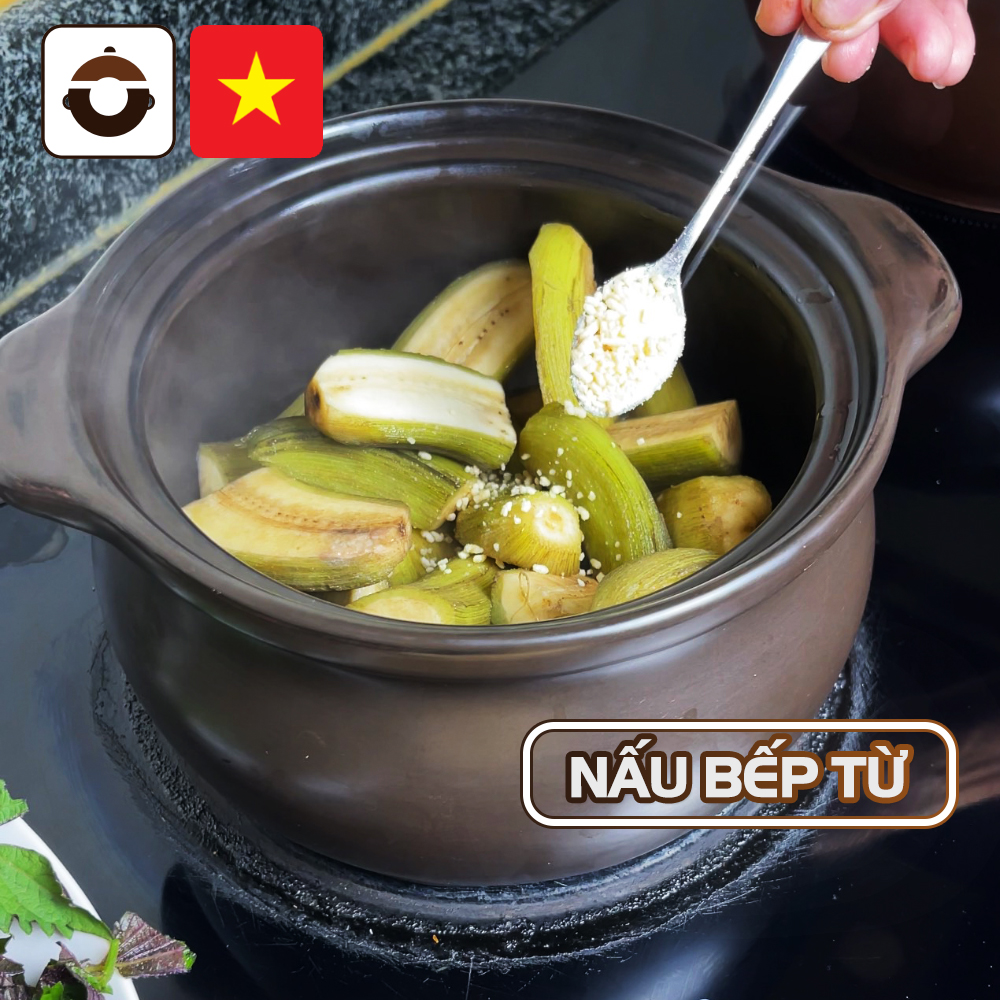 Nồi sứ nấu bếp từ 2 & 3 lít NodaCook