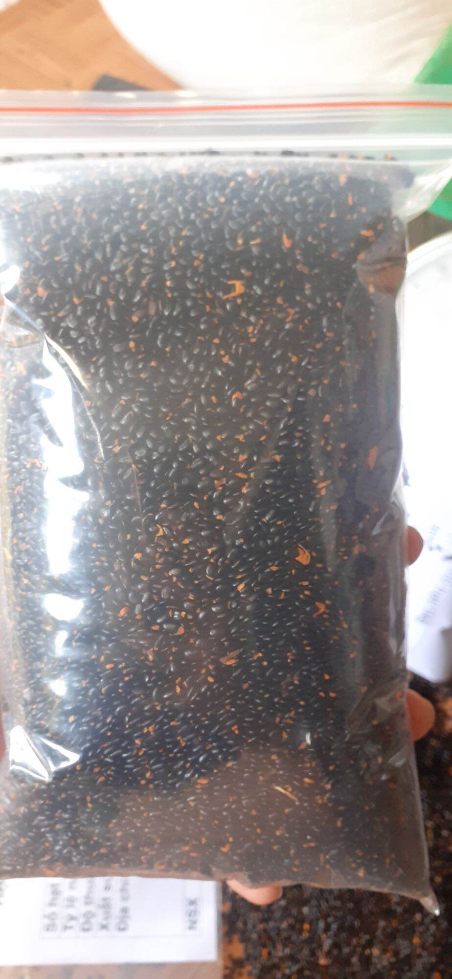 Hạt giống keo tai tượng trồng rừng - gói 100 gram