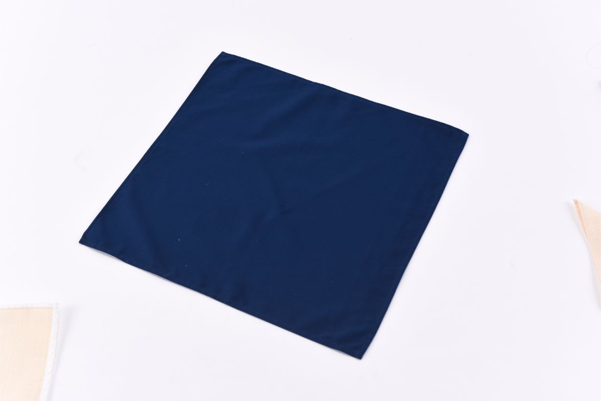 Khăn ăn 45x45cm Ink Hidden Stripe Khaki Napkin (Cobalt)