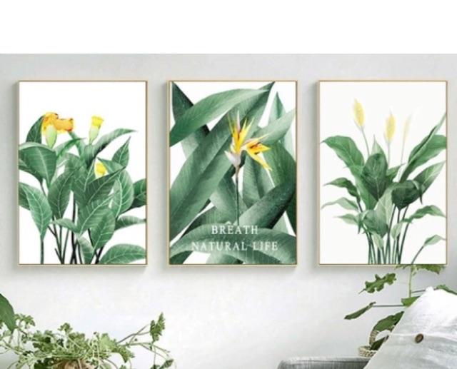 Tranh CANVAS bộ 3 tấm hình lá cây