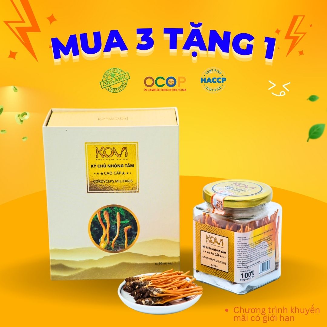 [Mua 3 tặng 1] Đông trùng hạ thảo KOVI ký chủ nhộng tằm nguyên con khô sấy thăng hoa | 50 con