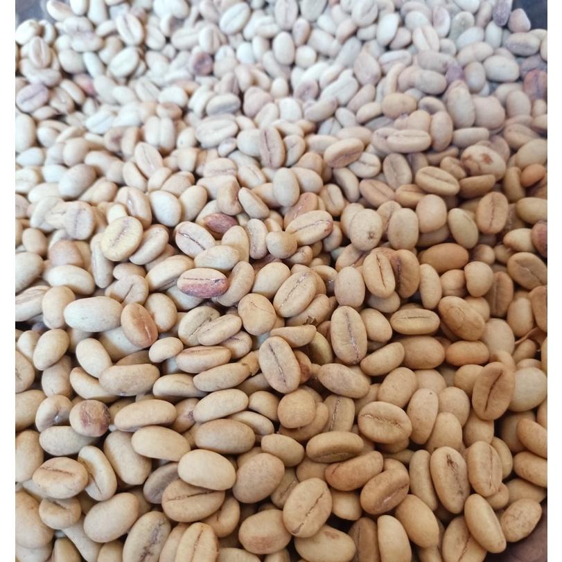 500 gram hạt giống cà phê Thiện Trường