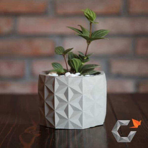 Chậu xi măng trồng cây cảnh mini cao cấp CORI PL10 trụ tròn 11x8cm thích hợp trồng sen đá , xương rồng, cây mọng nước kiểu dáng sang trọng phù hợp decor ban công, nhà ở và công ty