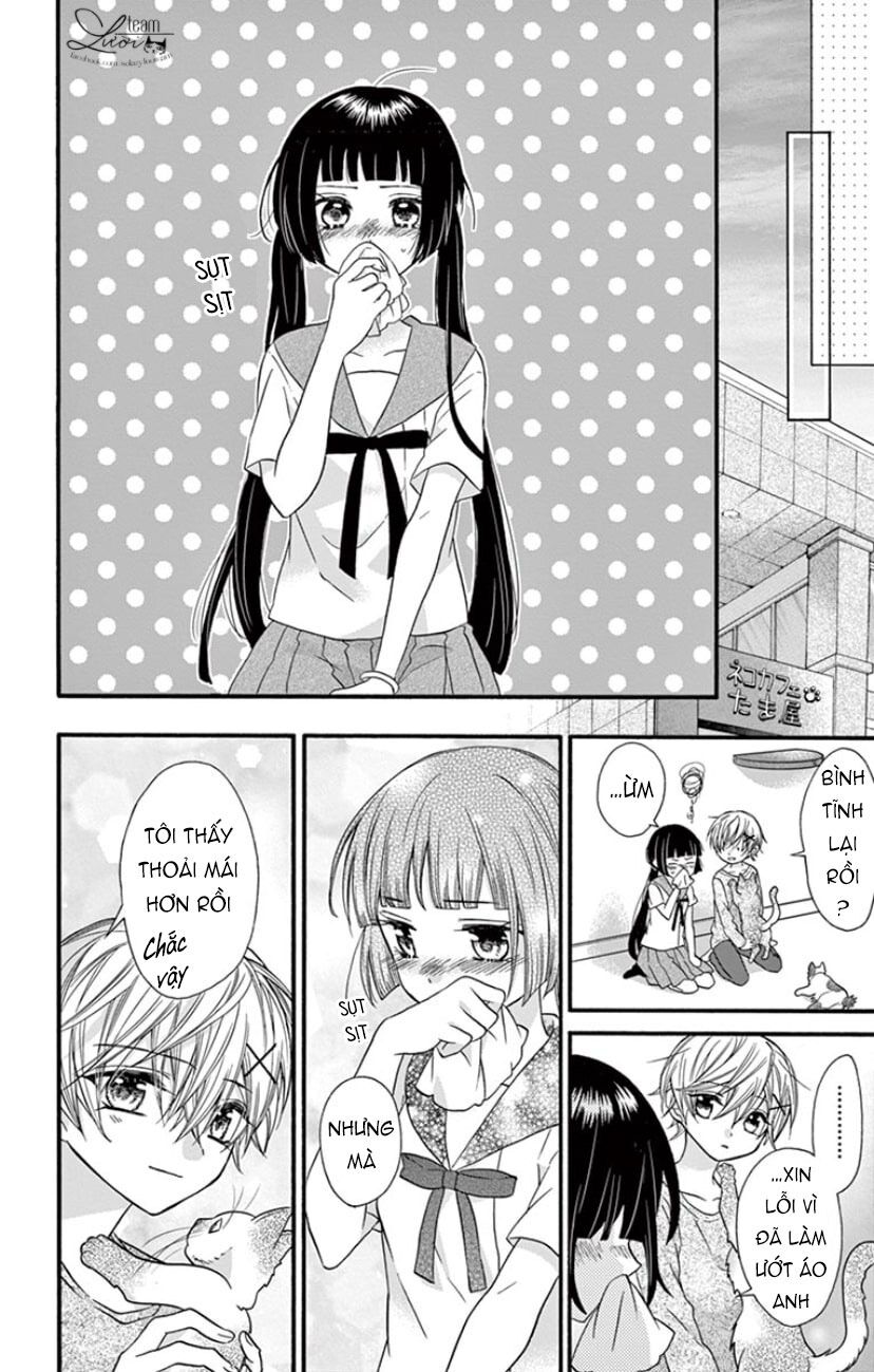 chàng rể giả nhân giả nghĩa chapter 19 23