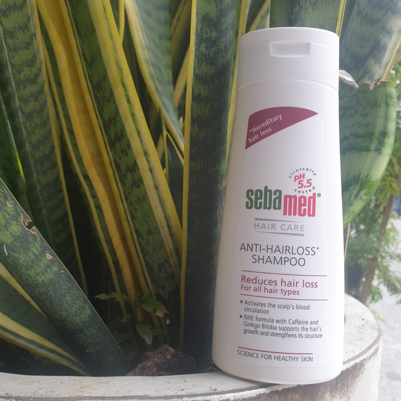 Dầu gội ngăn ngừa rụng tóc, kích thích mọc tóc Sebamed Anti-Hairloss Shampoo pH5.5 200ml + Tặng 1 mặt nạ trắng da Collagen Dermal