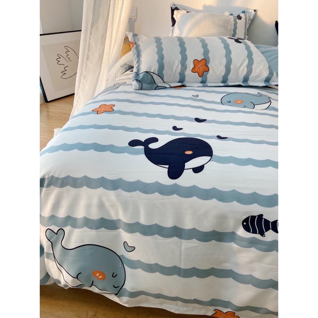 Bộ chăn ga gối , coton poly họa tiết Cá heo, Chăn ga đủ size miễn phí bo chun