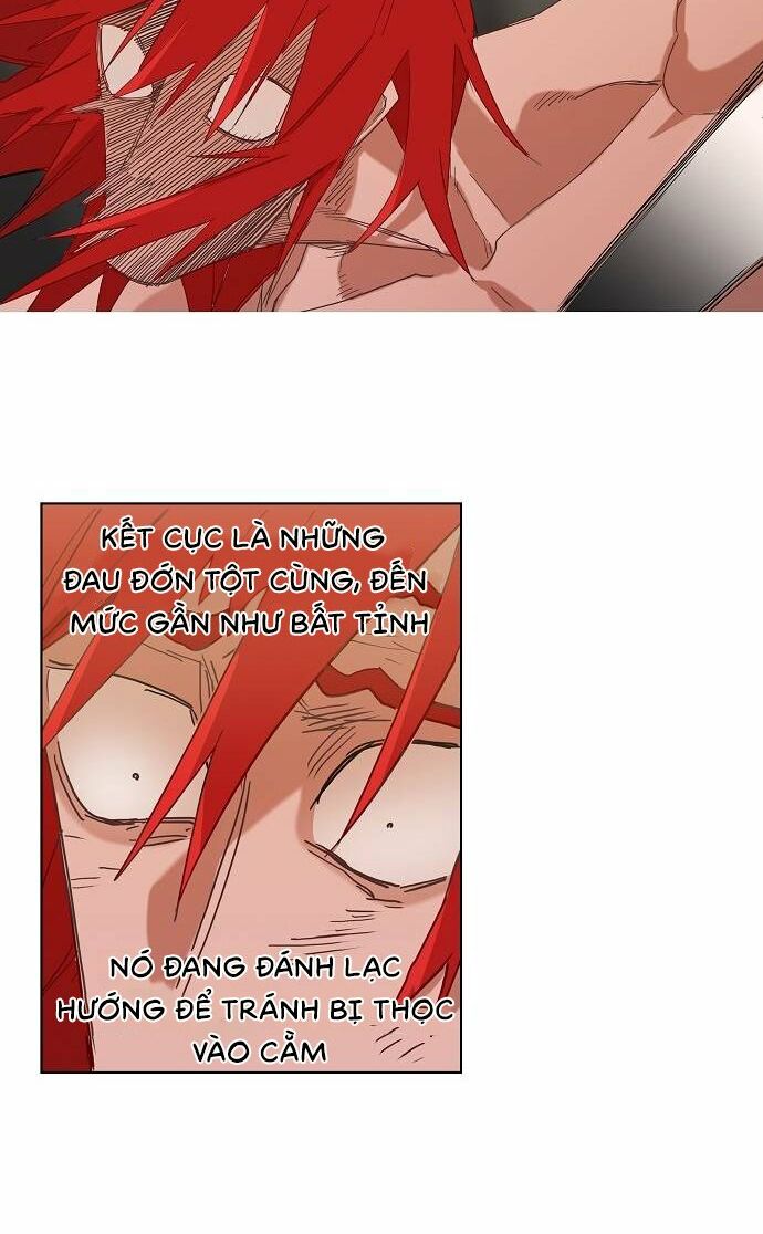Võ Sĩ Quyền Anh chapter 23 13