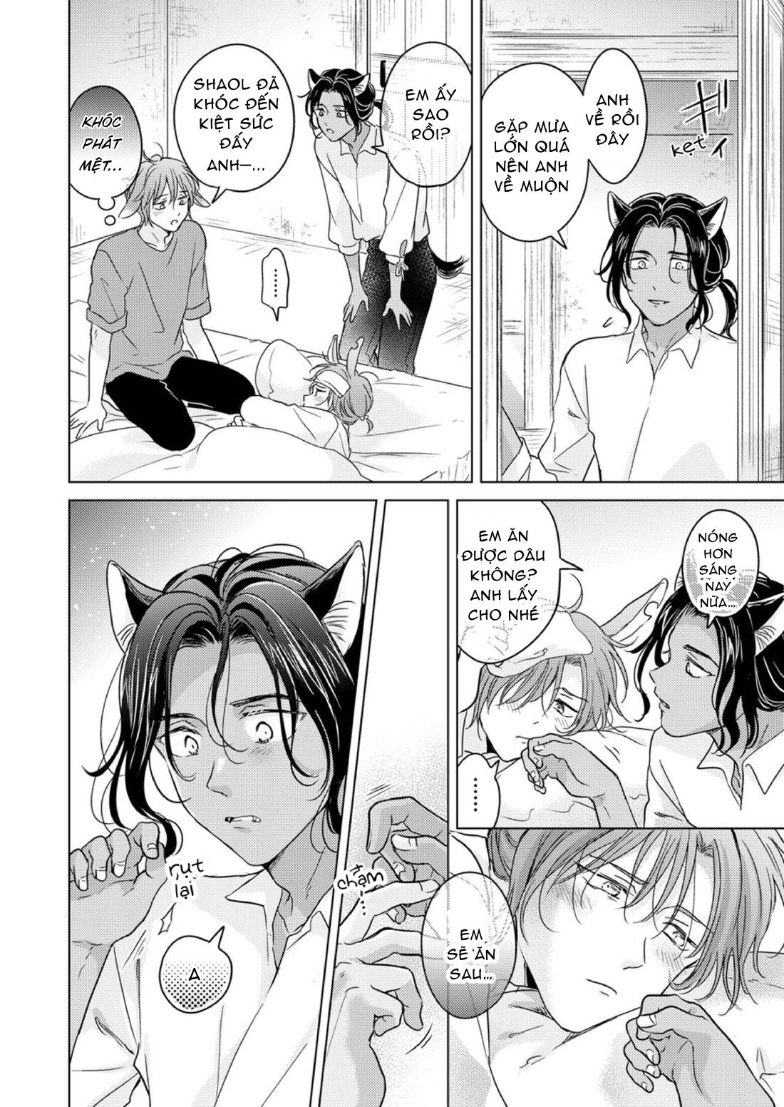 oneshot bl từ nhiều tác giả - mlèo dịch chapter 101 19